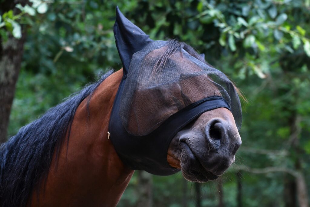 Fiebre del Nilo Occidental Caballos